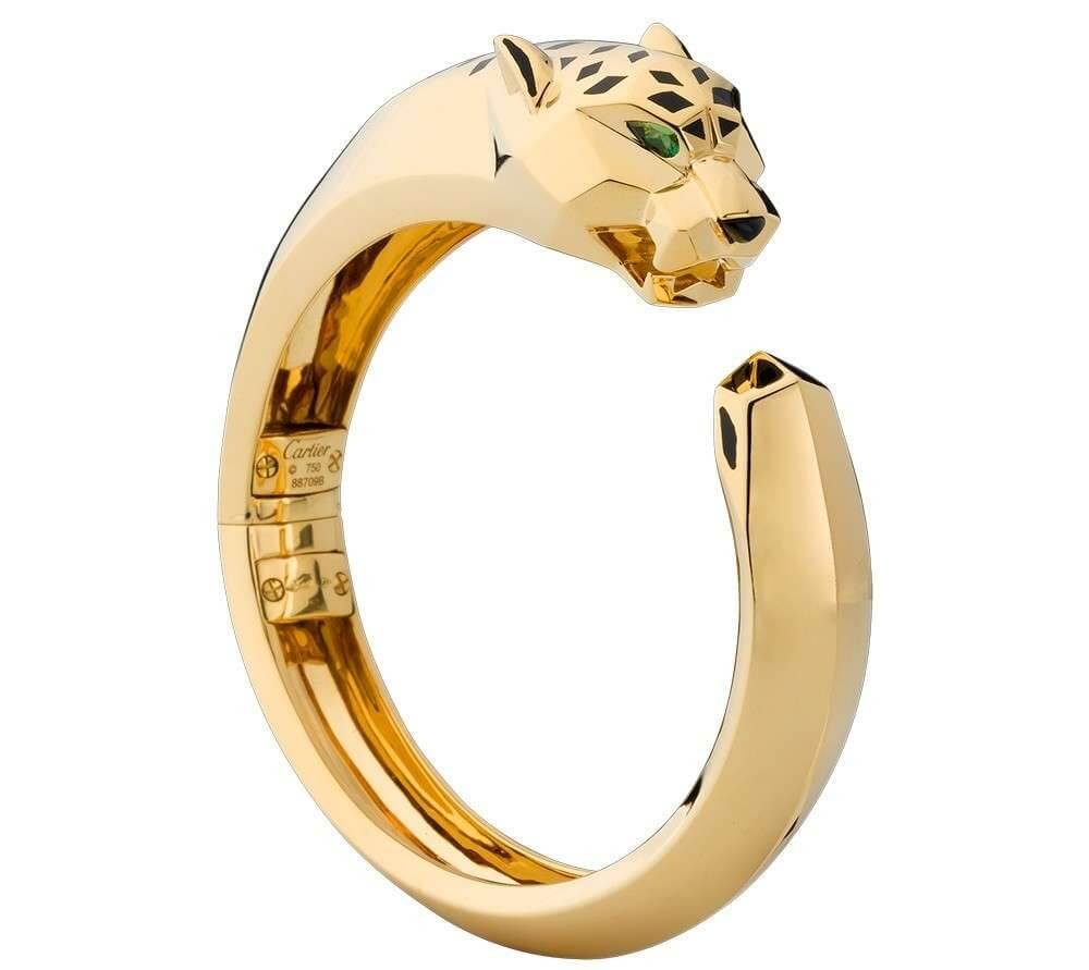 Significado de anillos online de animales