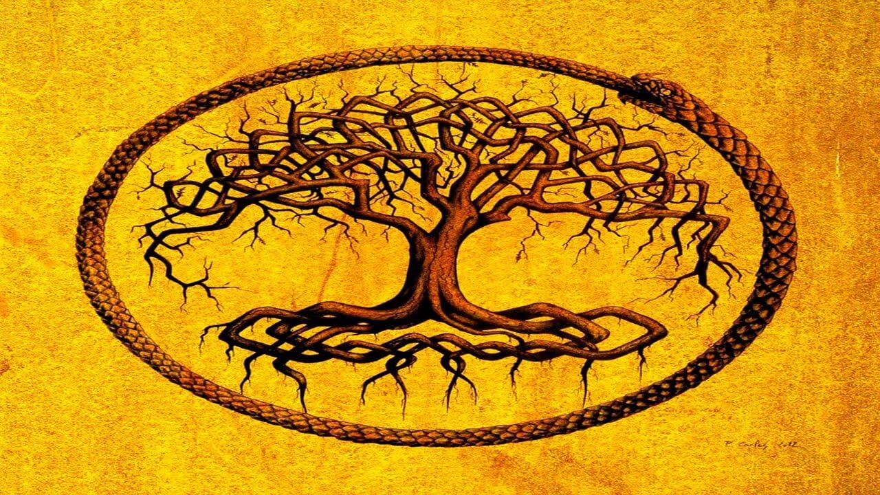 Significado del Árbol de la Vida A Través de las Culturas