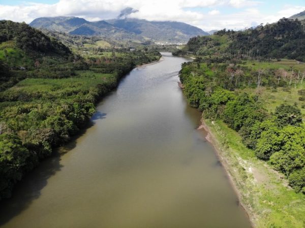 Selva amazónica río