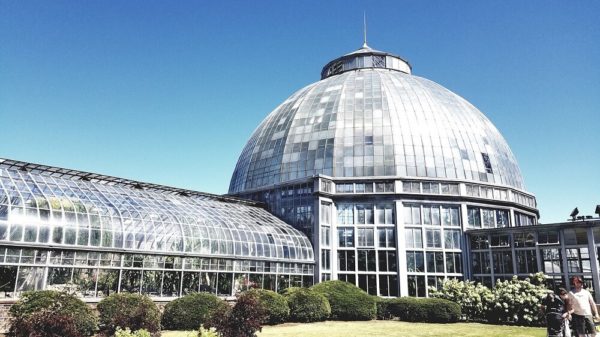 Invernadero Belle Isle Detroit