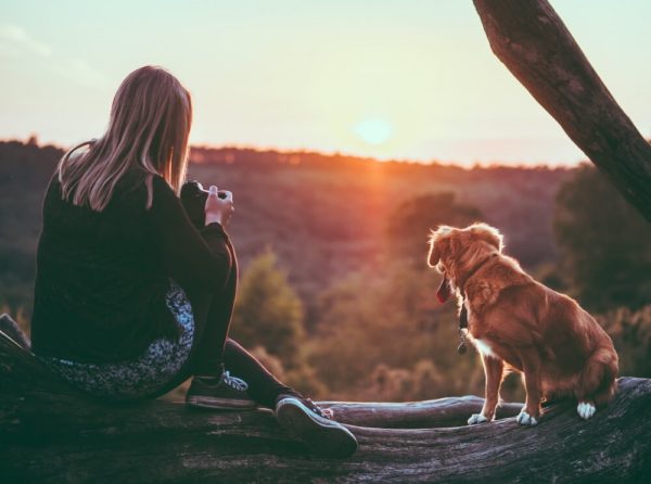 Errores que debemos evitar al viajar con mascotas