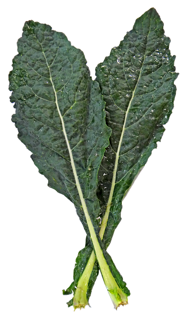 El Kale